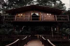 Freaking Overnight Tree House Stay in Chikmagalur